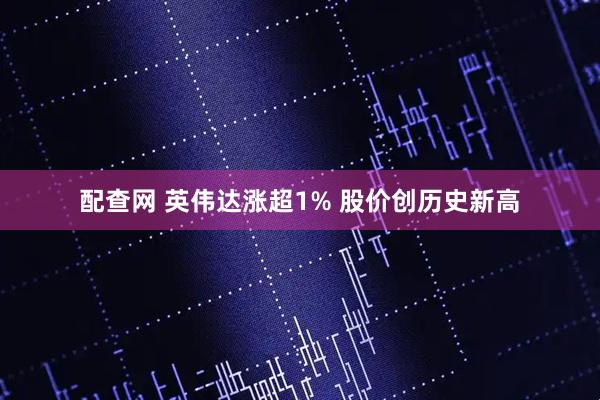 配查网 英伟达涨超1% 股价创历史新高