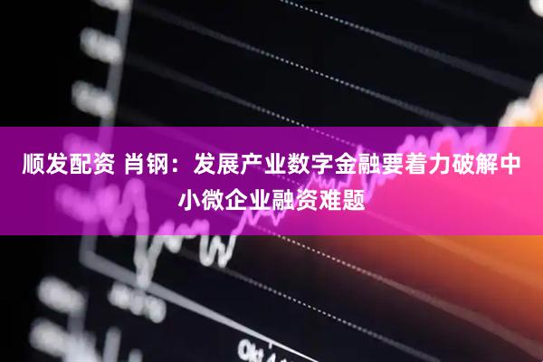 顺发配资 肖钢：发展产业数字金融要着力破解中小微企业融资难题