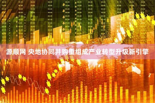 源顺网 央地协同并购重组成产业转型升级新引擎