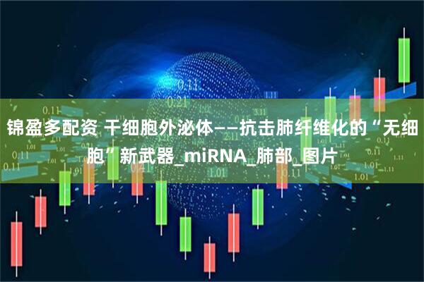 锦盈多配资 干细胞外泌体——抗击肺纤维化的“无细胞”新武器_miRNA_肺部_图片